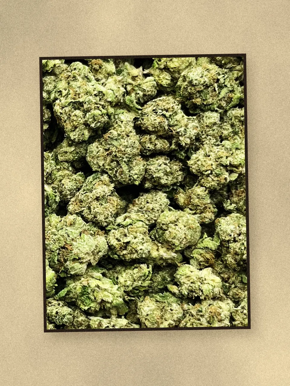 Caked Up Candy hemp flower on a pale wooden board, greenhouse