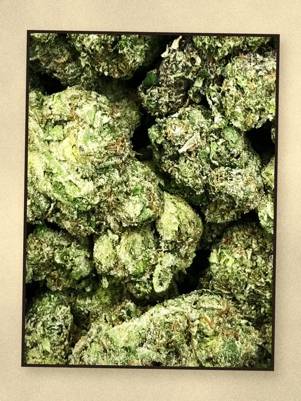 Lipsmackers hemp flower on a pale wooden board, light-dep